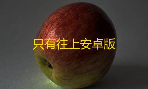 等保三级只有往上安卓版